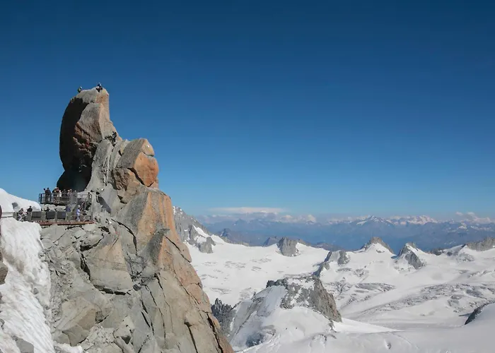 Grand Roc - Ancolies 348 - Happy *