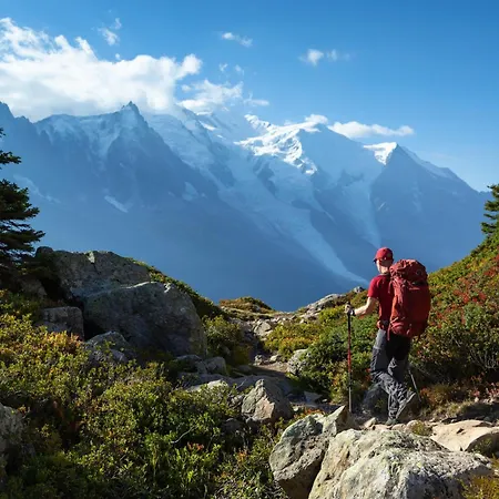 Grand Roc - Ancolies 348 - Happy * Chamonix